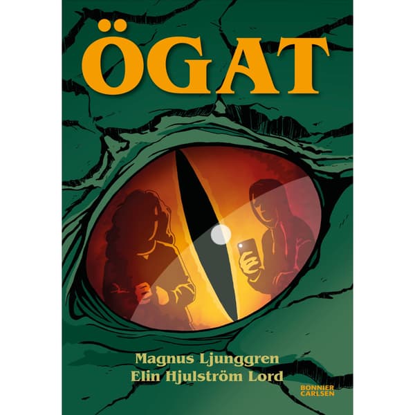 Ögat (bok, kartonnage)