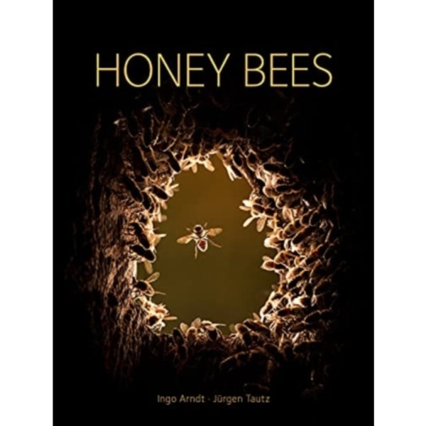 Honey Bees (inbunden, eng)