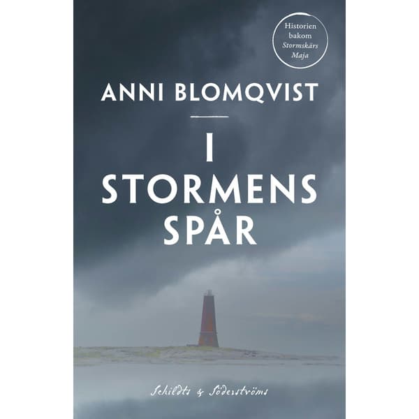 I stormens spår (häftad)