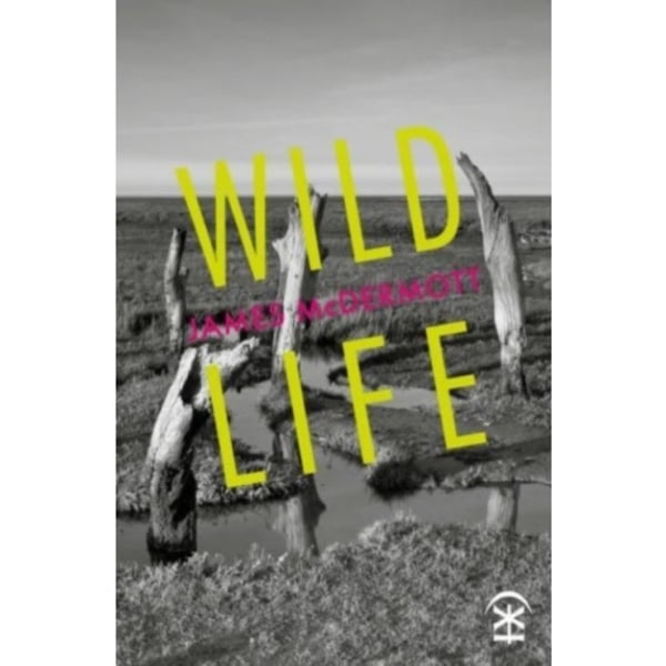 Wild Life (häftad, eng)