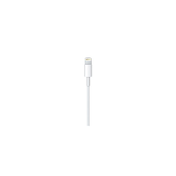 Apple MKQ42ZM 2 m Vit