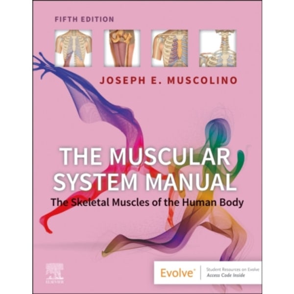 The Muscular System Manual (häftad, eng)