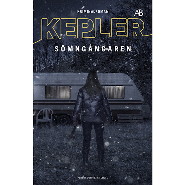 Sömngångaren (bok, storpocket)