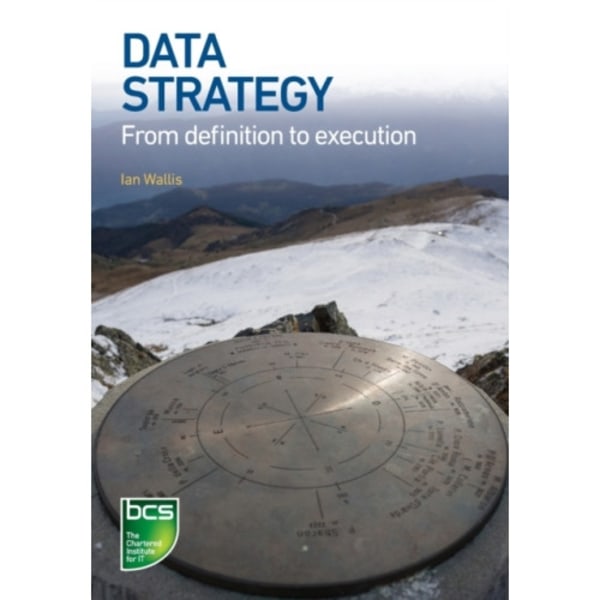 Data Strategy (häftad, eng)