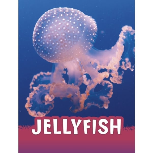 Jellyfish (inbunden, eng)