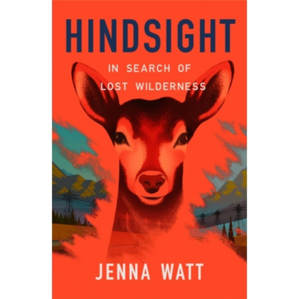 Hindsight (inbunden, eng)