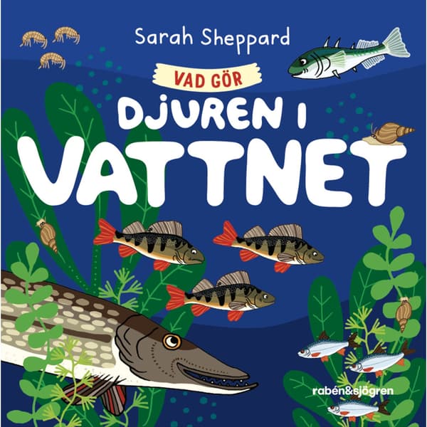 Vad gör djuren i vattnet? (bok, board book)