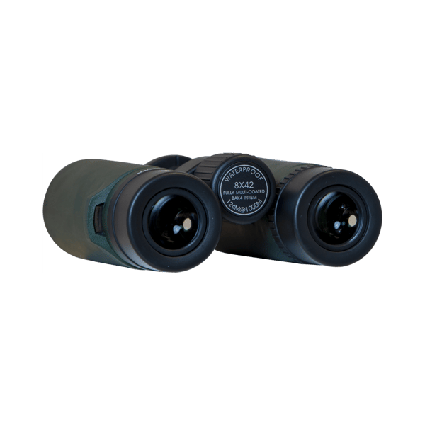 Focus Observer 8x42 HD
