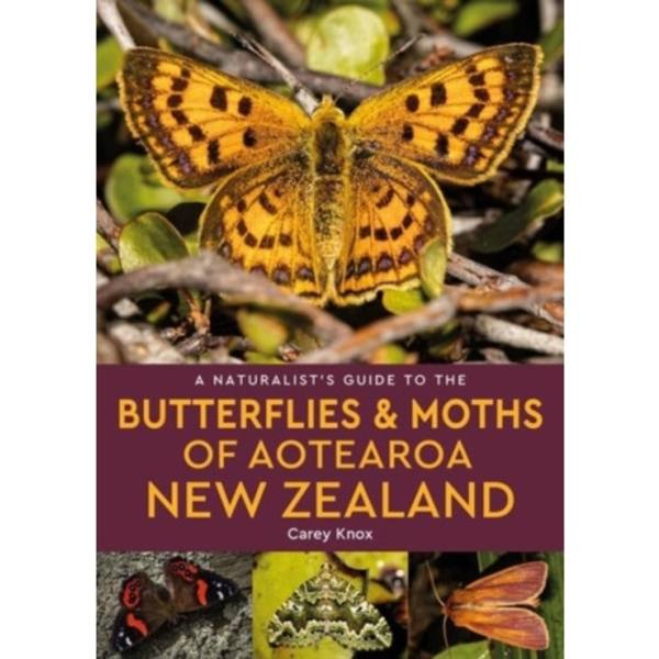 A Naturalist's Guide to the Butterflies & Moths of Aotearoa New Zealand (häftad, eng)