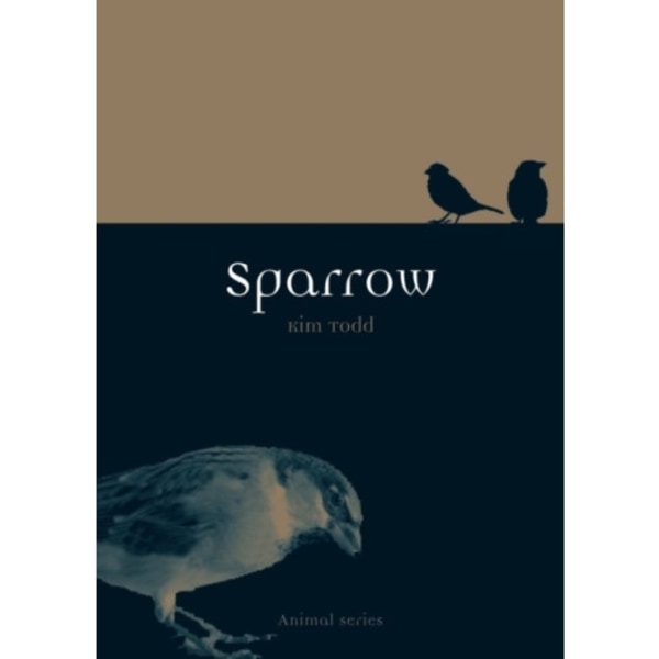 Sparrow (häftad, eng)