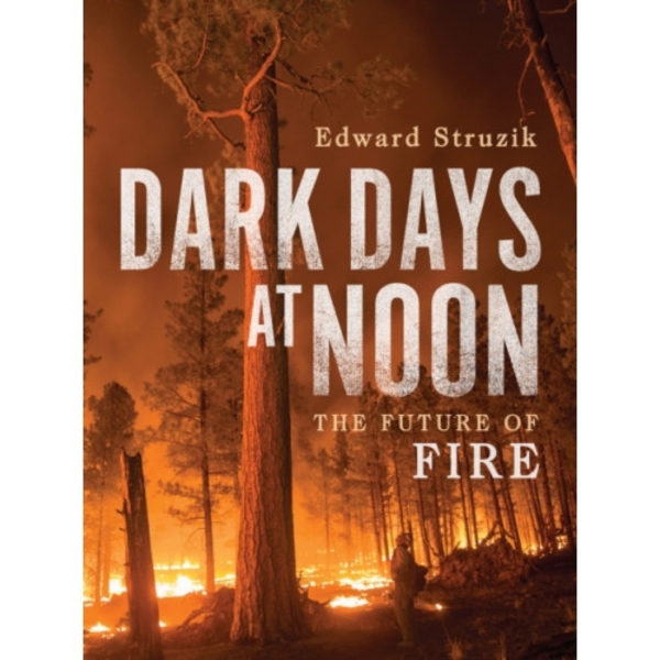 Dark Days at Noon (inbunden, eng)