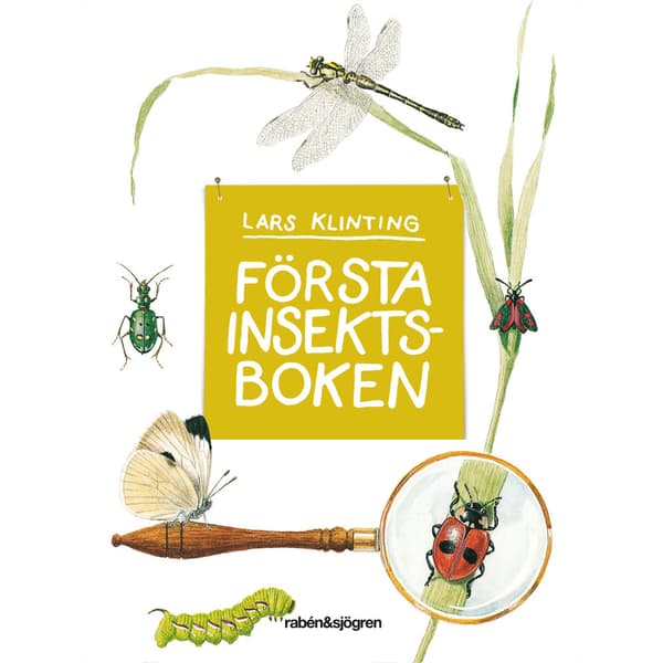 Första insektsboken (inbunden)