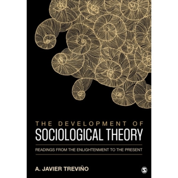 The Development of Sociological Theory (häftad, eng)