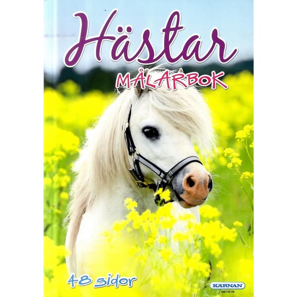 Hästar : Målarbok 12-pack (häftad)