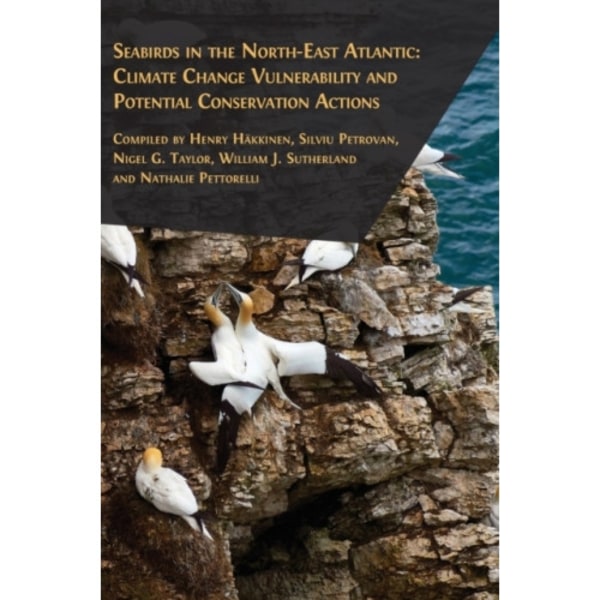 Seabirds in the North-East Atlantic (inbunden, eng)