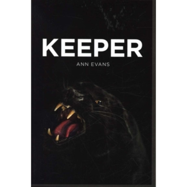 Keeper (häftad, eng)
