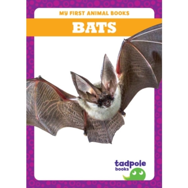 Bats (inbunden, eng)