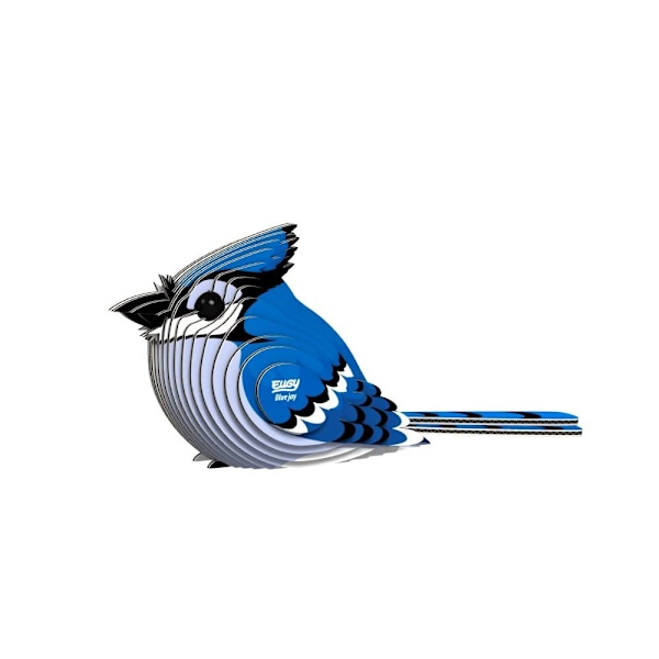 Eugy Blue Jay