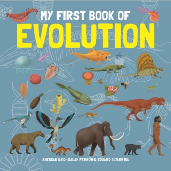 My First Book of Evolution (inbunden, eng)