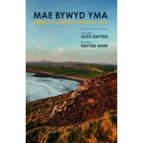 Mae Bywyd Yma (häftad, wel)