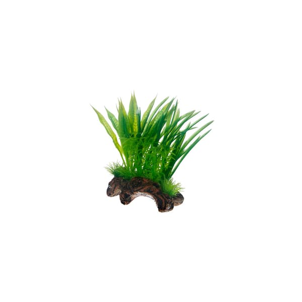 Dekor Flora Root 1 S 17cm Grön