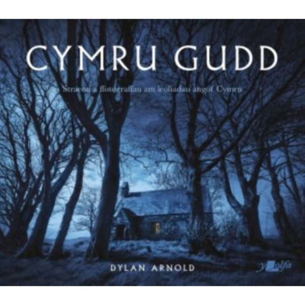 Cymru Gudd (häftad, wel)