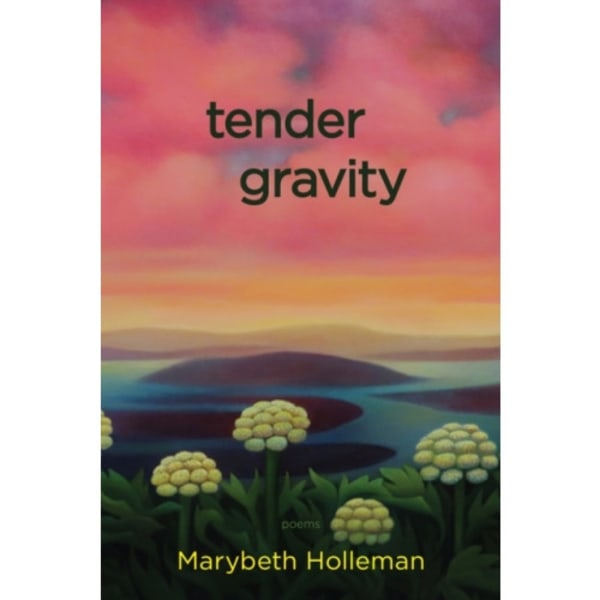 tender gravity (häftad, eng)