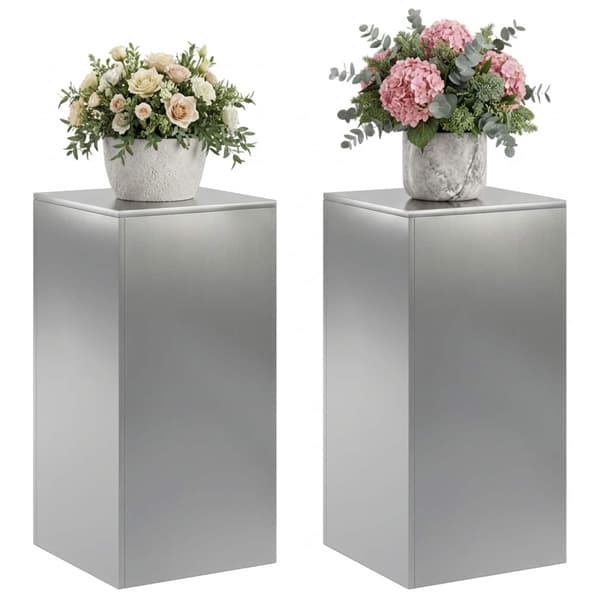 Växtställ 2 pcs Silver 40 x 40 x 80 cm Rostfritt stål