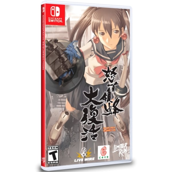 DoDonPachi Resurrection (Import)