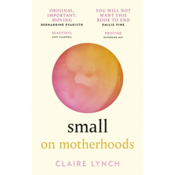 Small (häftad, eng)
