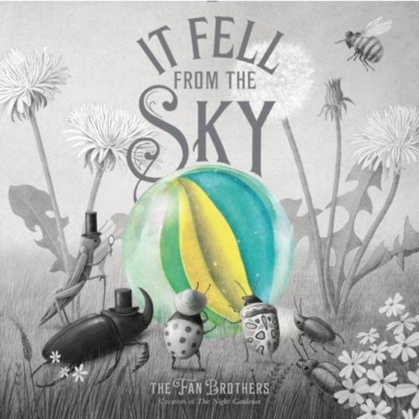 It Fell from the Sky (inbunden, eng)