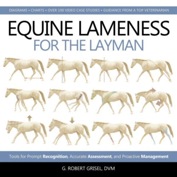 Equine Lameness for the Layman (inbunden, eng)