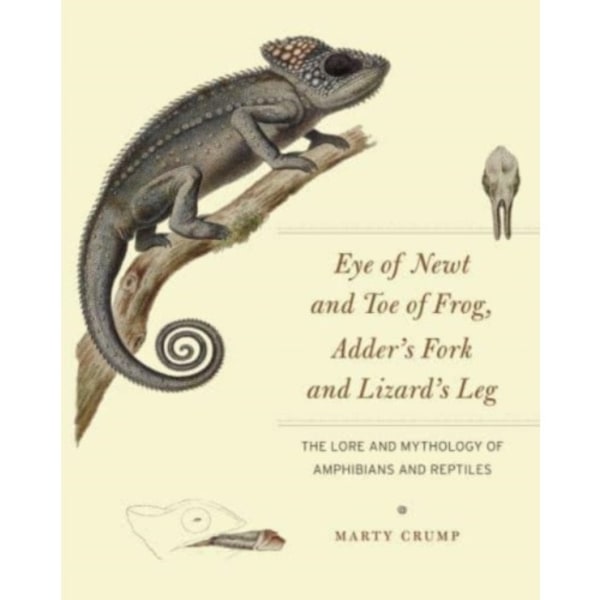 Eye of Newt and Toe of Frog, Adder's Fork and Lizard's Leg (häftad, eng)