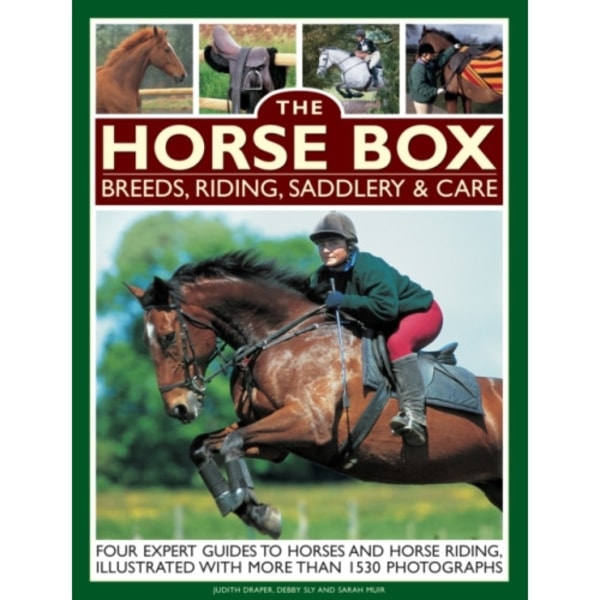 Horse Box: Breeds, Riding, Saddlery & Care (häftad, eng)