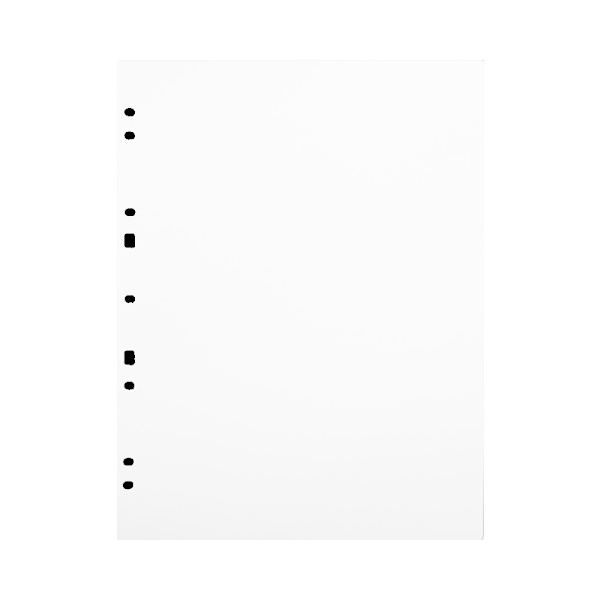 Focus Carton Refillsheets for Ringbinder A4 White 30-pack