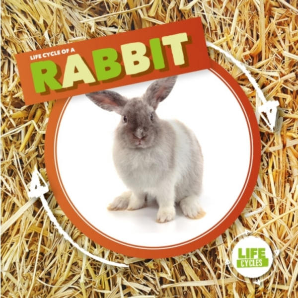 Rabbit (inbunden, eng)