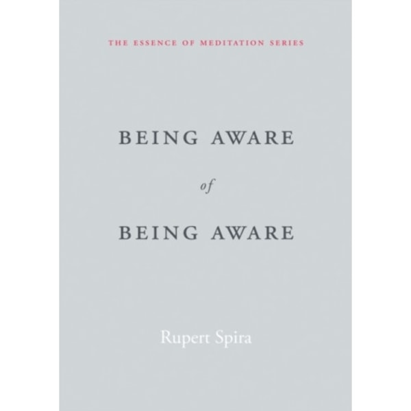 Being Aware of Being Aware (häftad, eng)