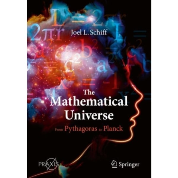 The Mathematical Universe (häftad, eng)