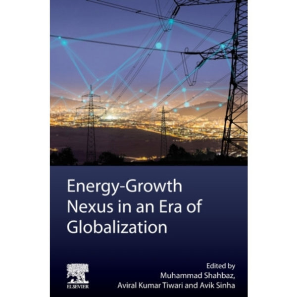 Energy-Growth Nexus in an Era of Globalization (häftad, eng)
