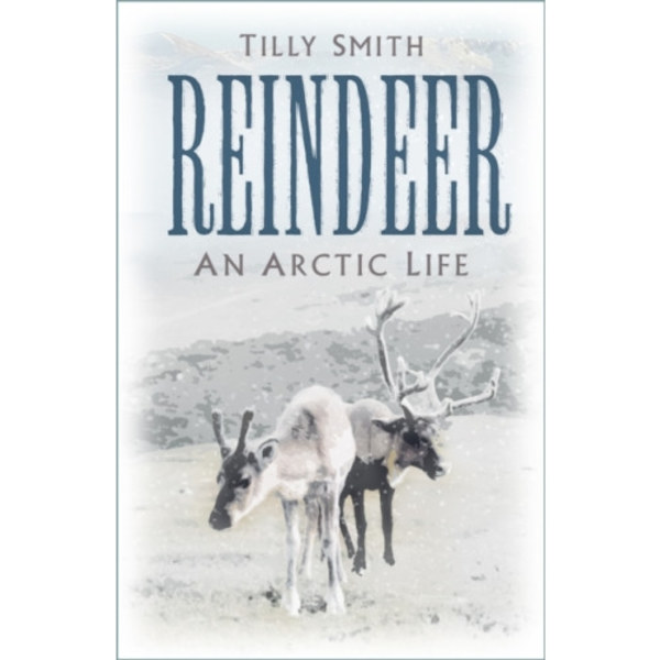 Reindeer (häftad, eng)