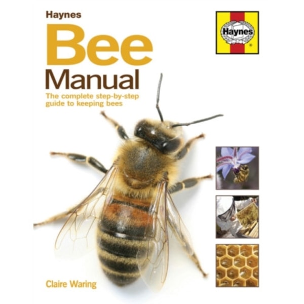 Bee Manual (inbunden, eng)