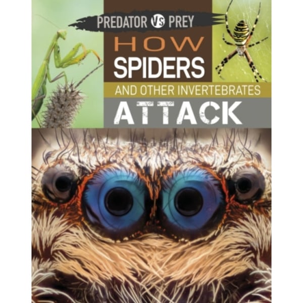 Predator vs Prey: How Spiders and other Invertebrates Attack (häftad, eng)