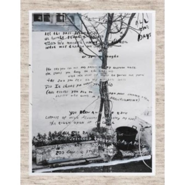 June (inbunden, eng)