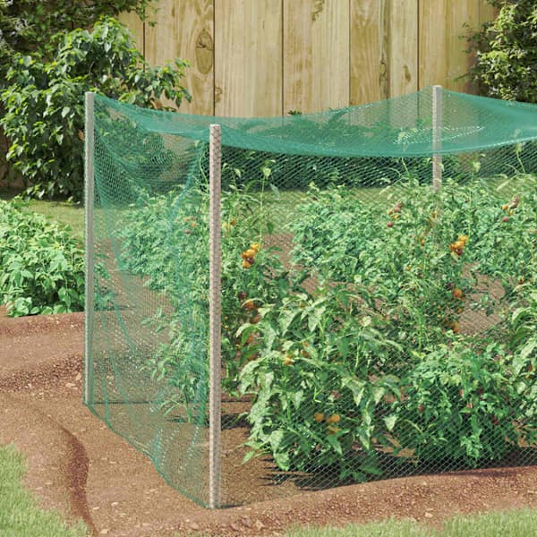 Fågel Skyddsnät Grön 4 x 5 m polyeten