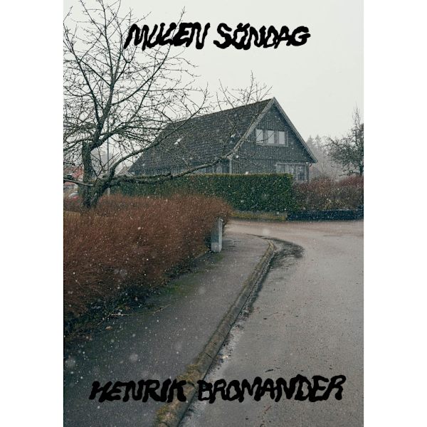 Mulen söndag (häftad)