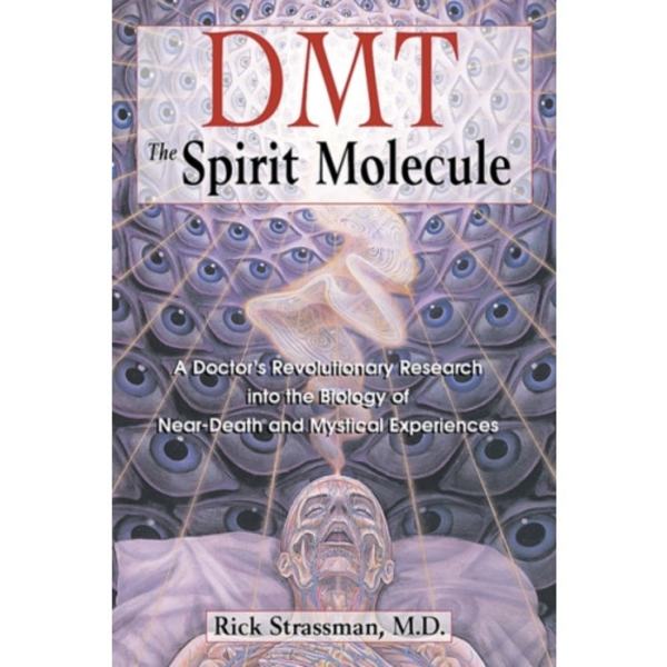 DMT: The Spirit Molecule (häftad, eng)