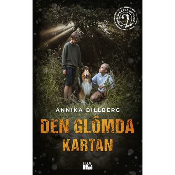 Den glömda kartan (bok, kartonnage)