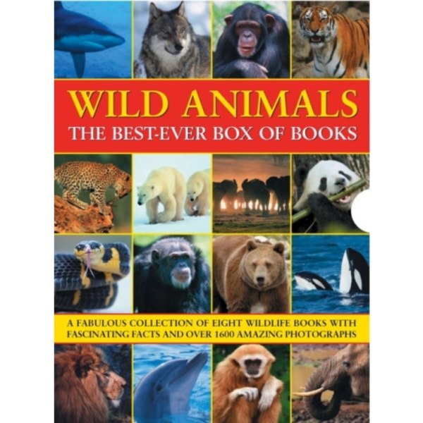 Wild Animals Best Ever Box of Books (häftad, eng)