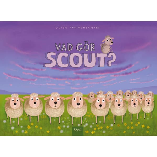 Vad gör Scout? (inbunden)