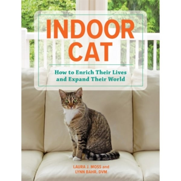 Indoor Cat (inbunden, eng)